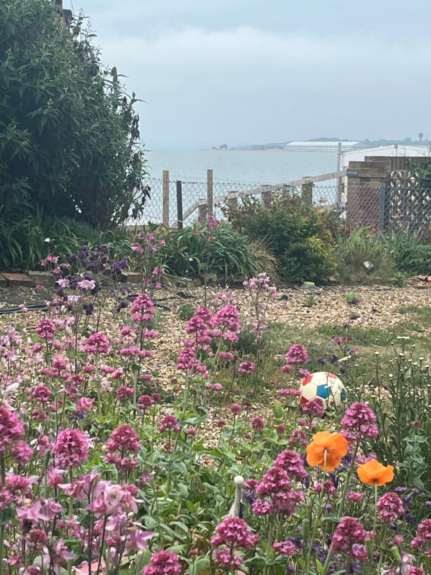 Bed and breakfast Cove Cott Guest *