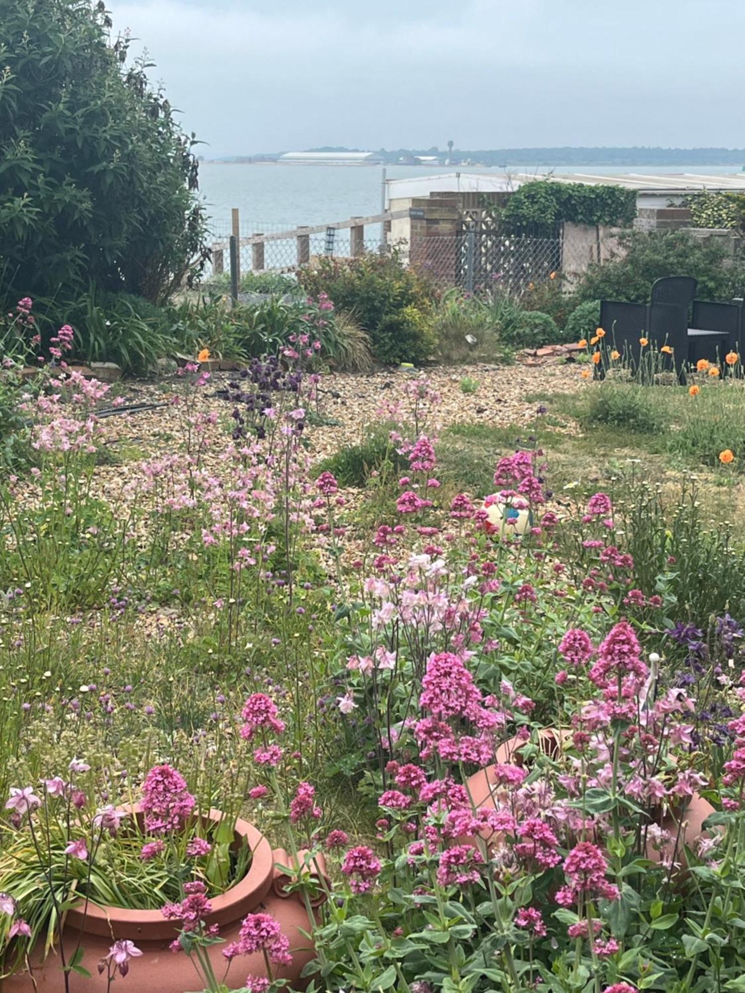 Bed and breakfast Cove Cott Guest Warsash
